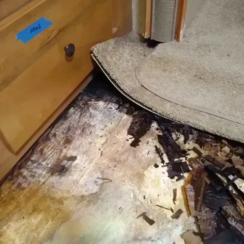 Wood Floor Water Damage in New Franklin, MO